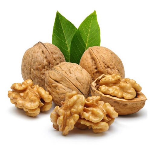 Walnut